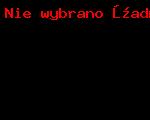 WOŚP 2025_7