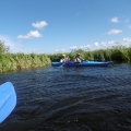 Dębki_74